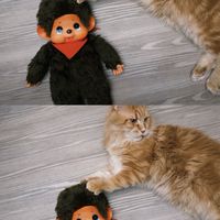 Na🇯🇵日本選物🇯🇵