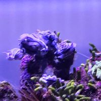 滿滿五金百貨大賣場                     林邊＆枋寮