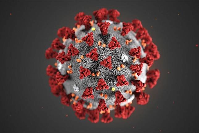 Ilustrasi Novel Coronavirus (2019-nCoV) atau virus corona jenis baru yang disediakan dari Centers for Disease Control and Prevention (CDC). 