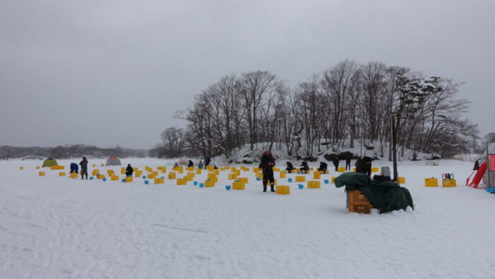 北海道大沼公園 體驗雪地上釣魚
