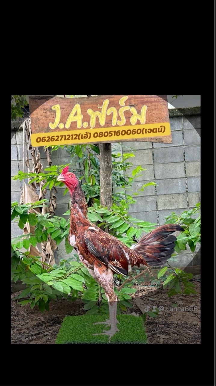 ซุ้ม J.A.ฟาร์ม