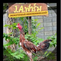ซุ้ม J.A.ฟาร์ม