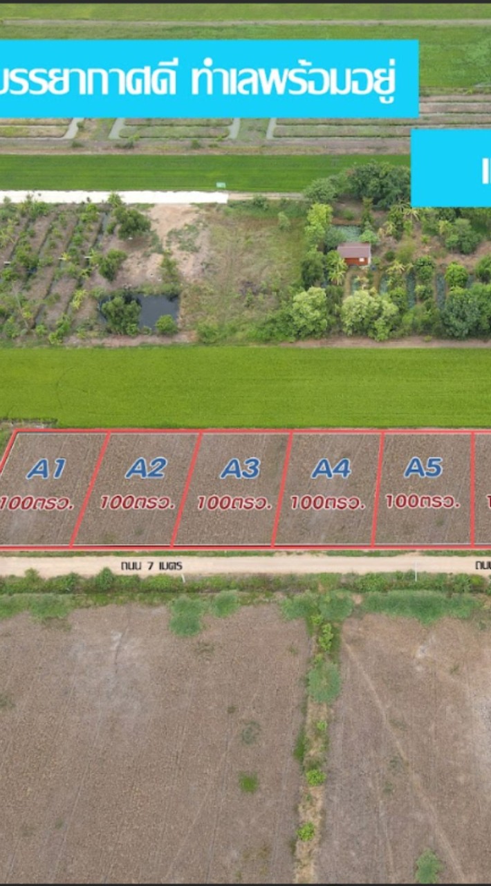 ที่ดิน สวย ราคาถูก ปทุมธานี