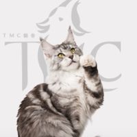 TMC寵物交流群🐈