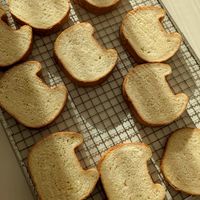 りえパンの「耳から離れへん！」関西弁で子育てトークroom🍞