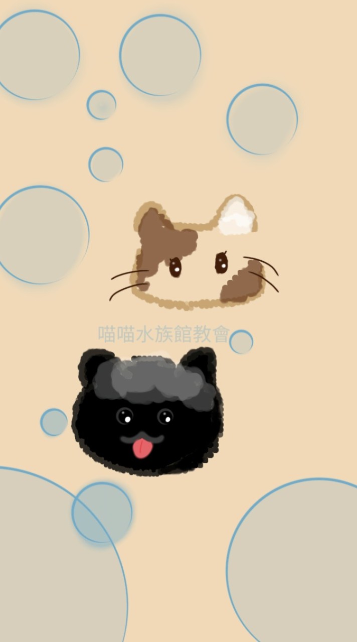 荒野亂鬥（喵喵水族館教會）
