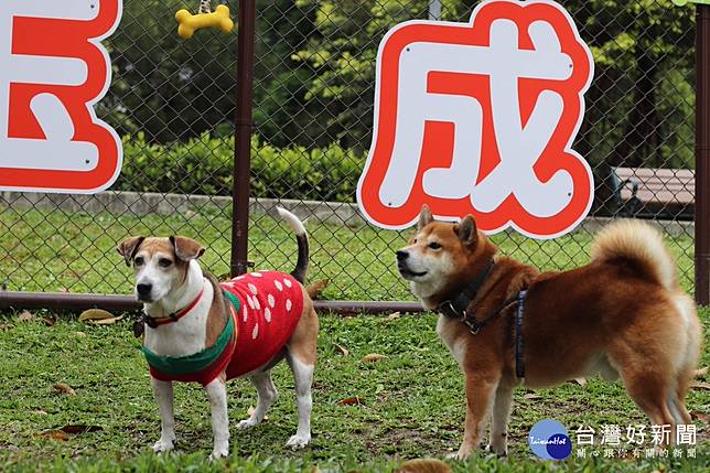 南港也有狗狗專屬運動空間玉成公園狗活動區開放使用 台灣好新聞 Line Today