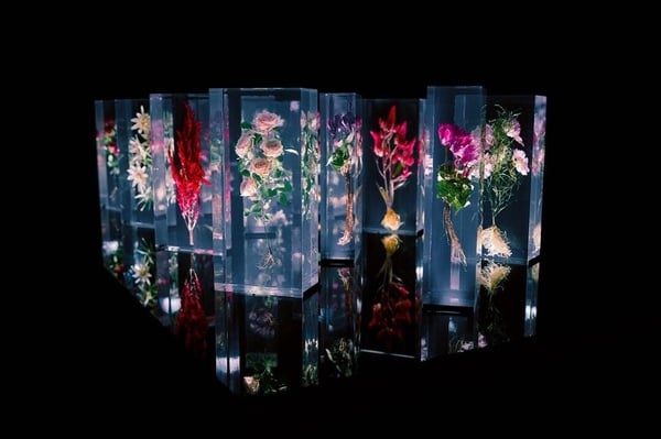 日頭赤炎炎一出門就熱到快融化？文化幣不知道怎麼用？推薦你暑假七個必去展覽！