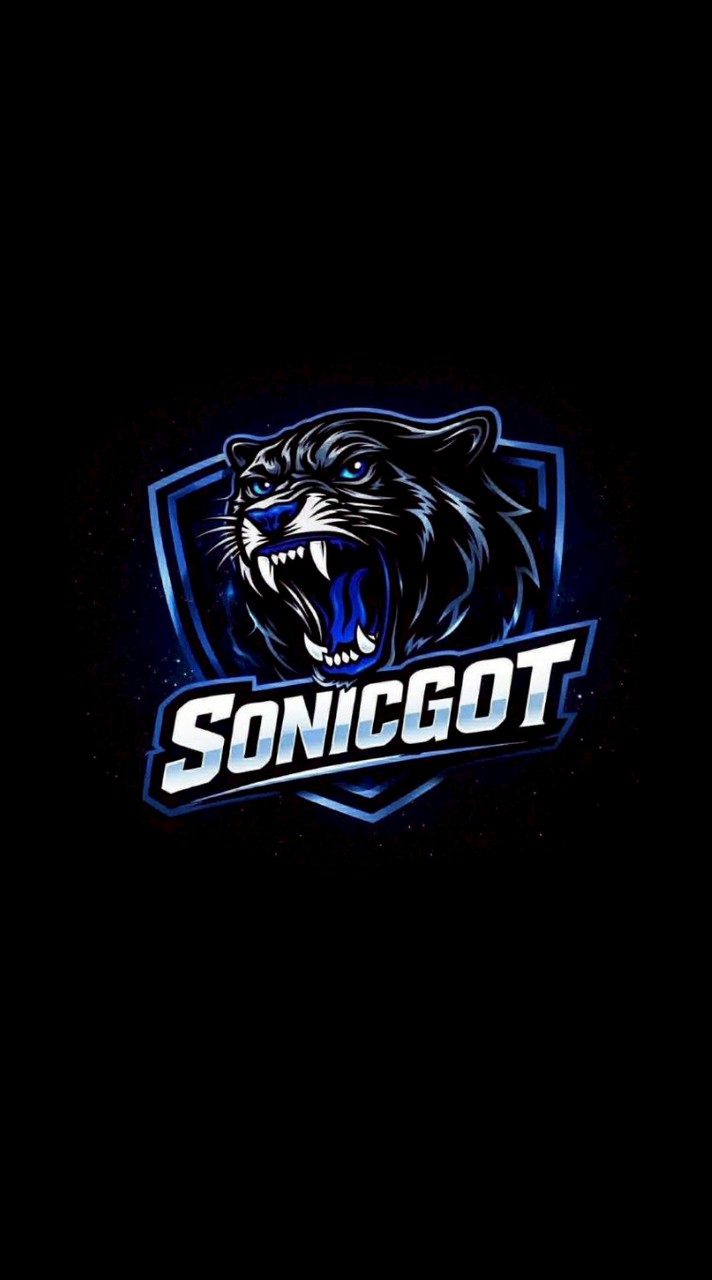 SonicGot🩷💙