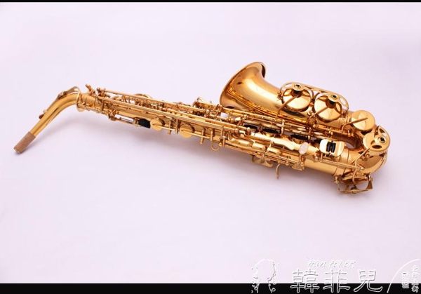 薩克斯 鈴木SUZUKI薩克斯 降E調中音薩克斯風/管/ 初學者考級薩克斯樂器 mks韓菲兒