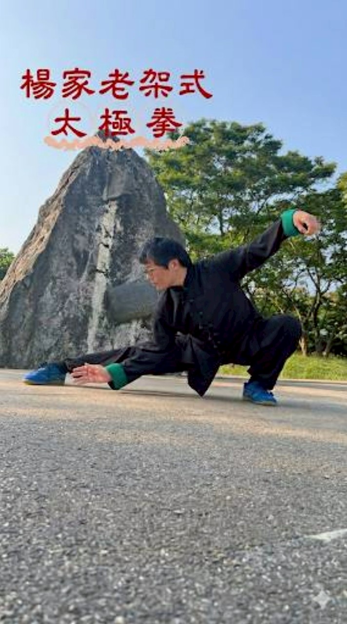 ：115楊家太極拳(自用社)四維