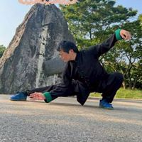 ：115楊家太極拳(自用社)四維