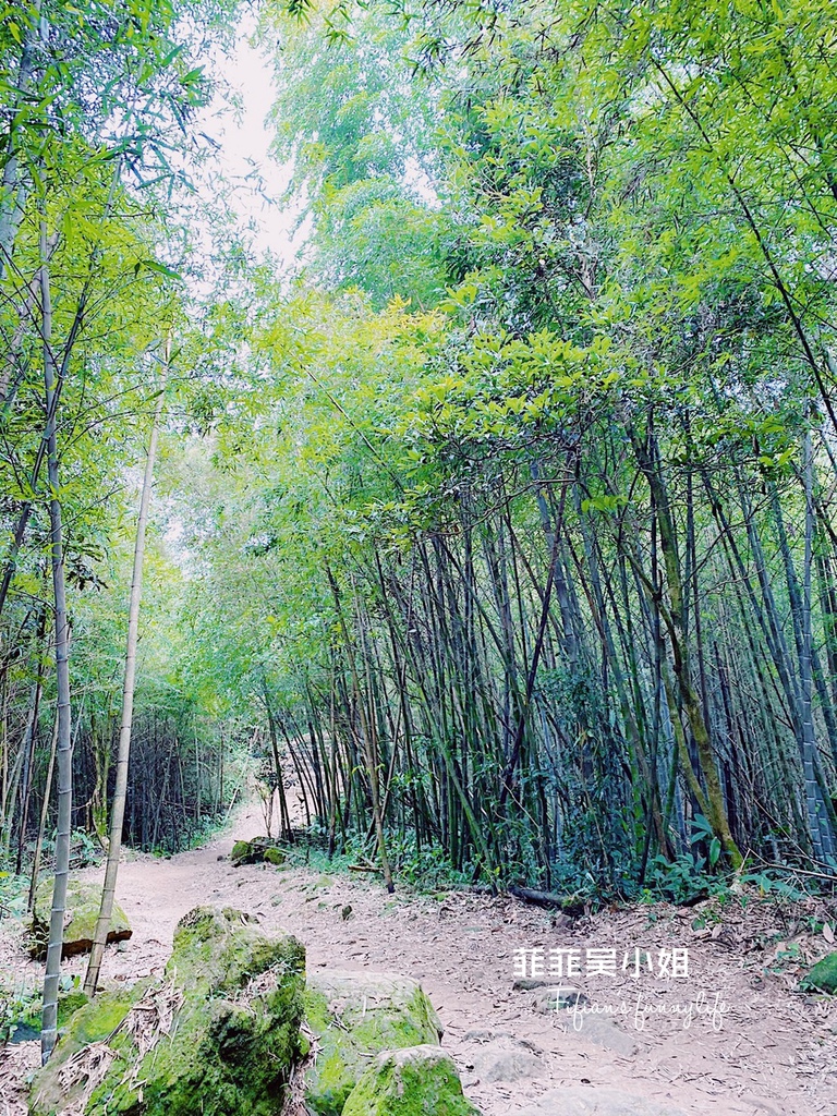 嘉義梅山二日遊 西北廊道精緻旅遊懶人包 嘉義景點 嘉義美食