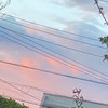 シャーク18
