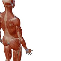 新求人オンライングループ(理学療法士)