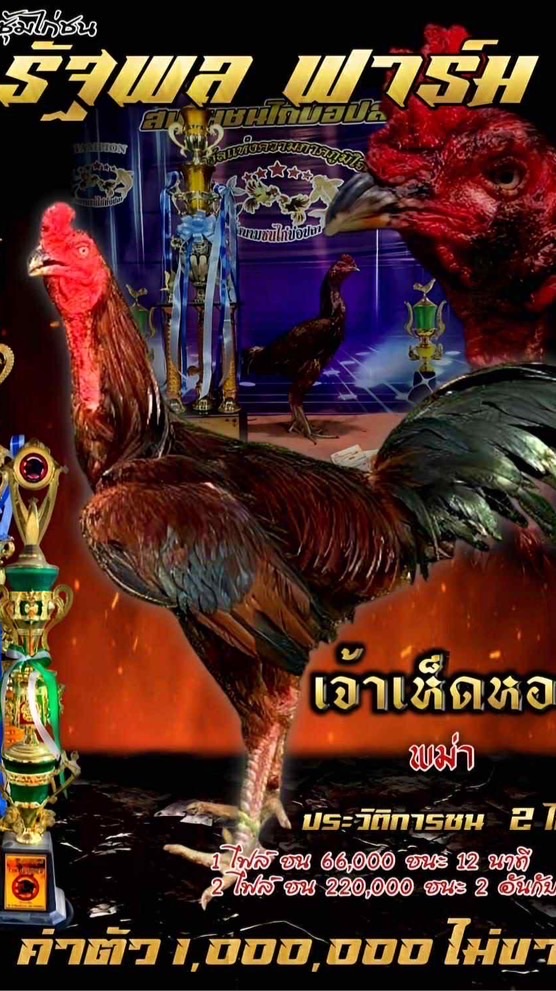 ซุ้ม  รัฐพลฟาร์ม เพชรบุรี🐓💯