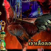 ซุ้ม  รัฐพลฟาร์ม เพชรบุรี🐓💯