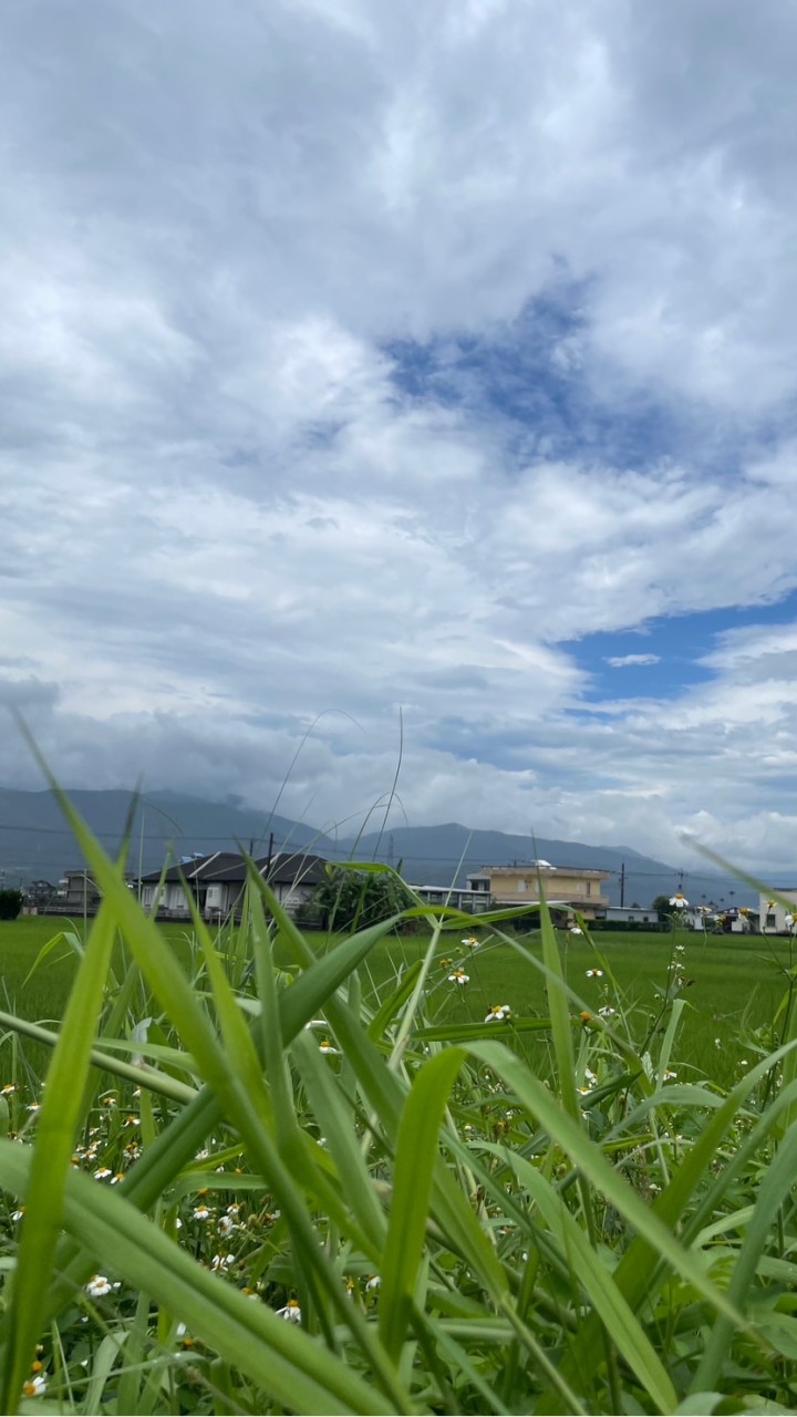 慢樂角落