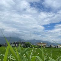慢樂角落