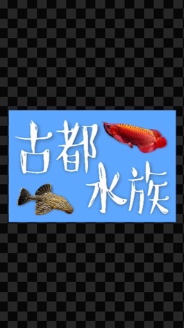 古都水族-台南實體店