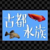 古都水族-台南實體店