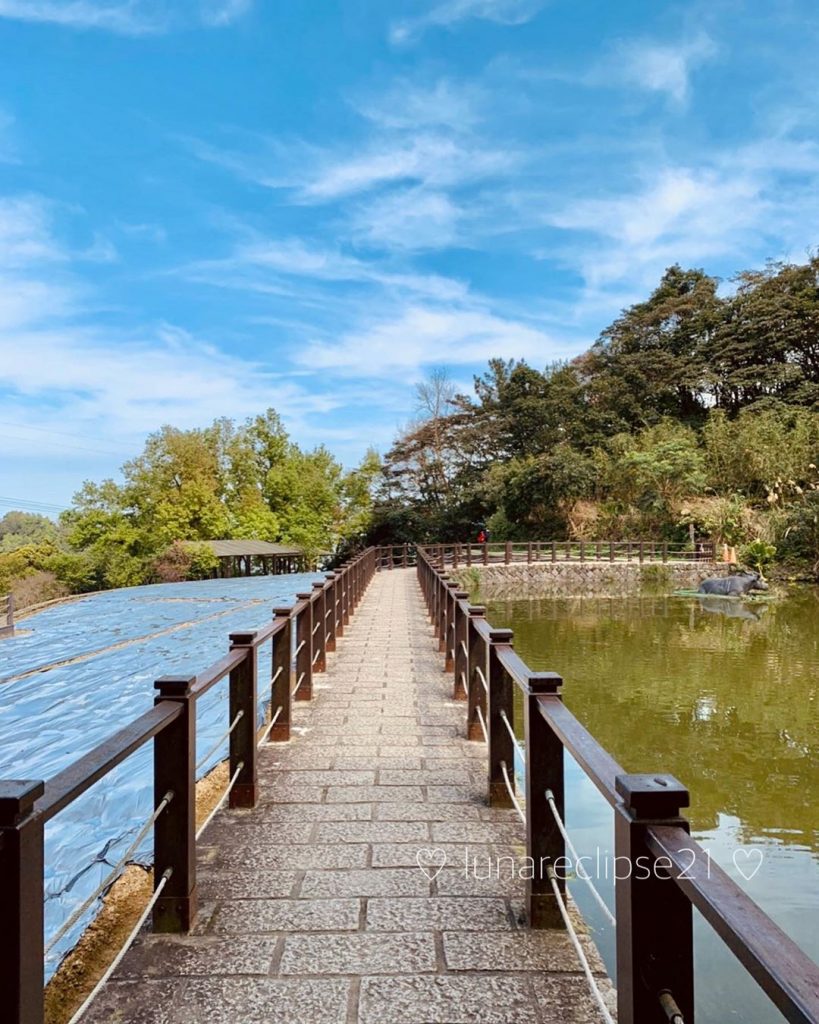 貓空一日遊2020,貓空景點,貓空,貓空纜車,樟湖步道,樟樹步道