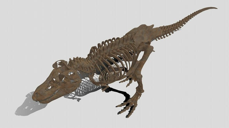 人気博物館の恐竜骨格を自宅で無料見学 オンライン講座も開催 いこーよ
