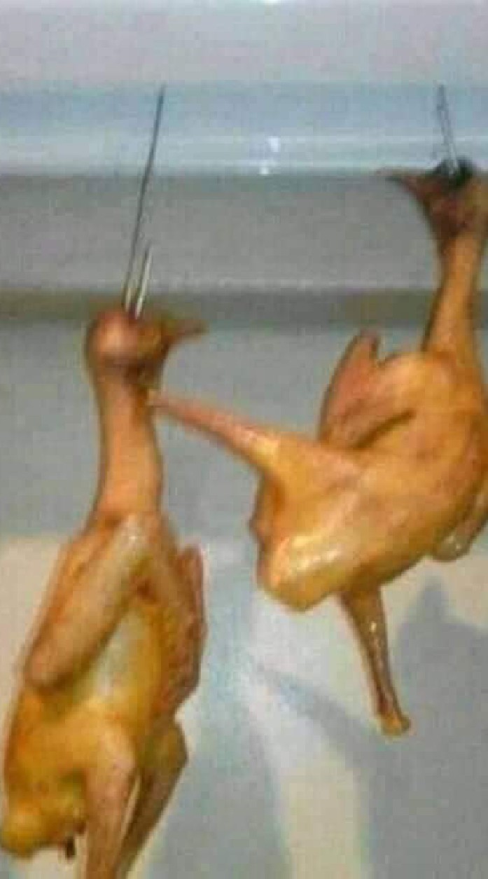 你今天吃飽沒？（人員較派加入三思）