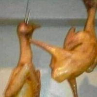 你今天吃飽沒？（人員較派加入三思）
