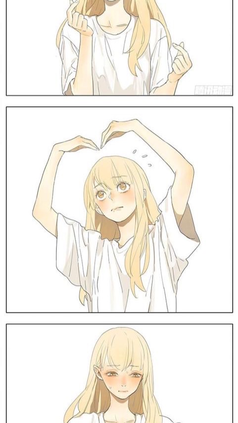 女森朋朋們