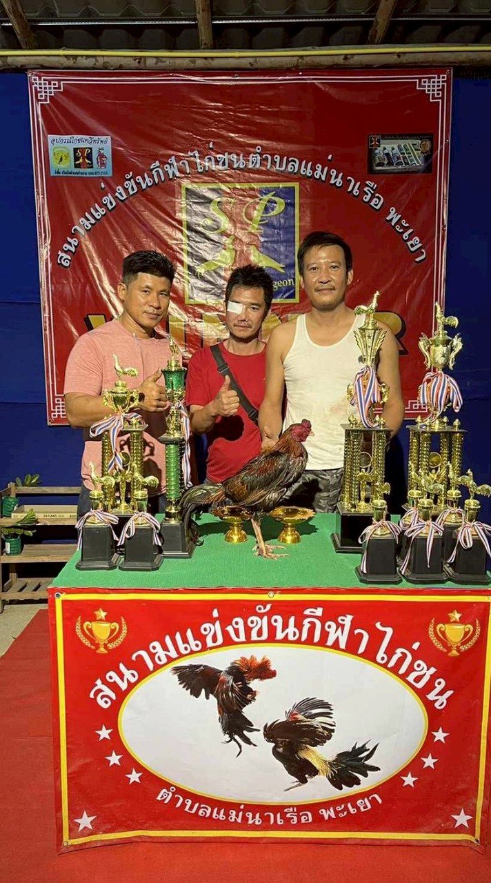 สามเสือแจแปน