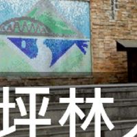 我是坪林人