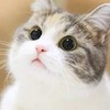 IG生活談心群