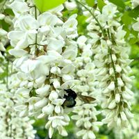 昆虫人間の部屋
