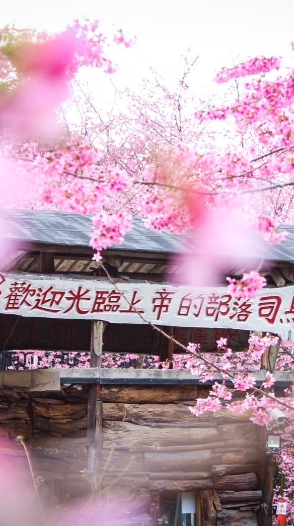安德力旅遊～跟著唯妮旅遊趣