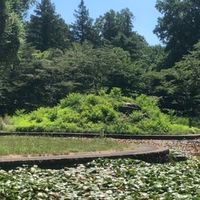 ザリガニ同好会in岩手