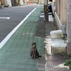 夜眠れない人おいで〜