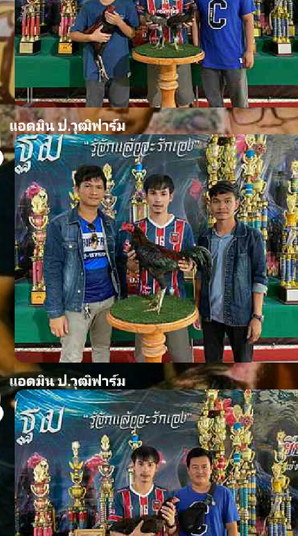 เกียรติศักดิ์ ฟาร์ม (แหล่งพัฒนาไก่ชนสายเลือดเงินล้าน)