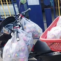 Bear express น้องหมีส่งด่วน สวรรคโลก
