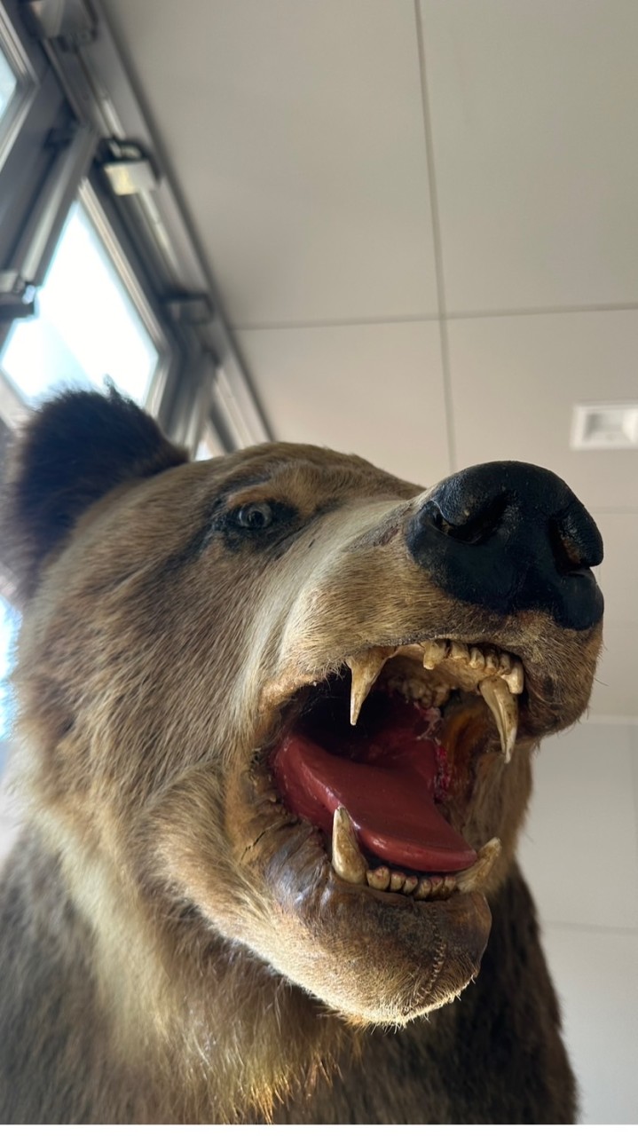 東京農業大学オホーツクキャンパス