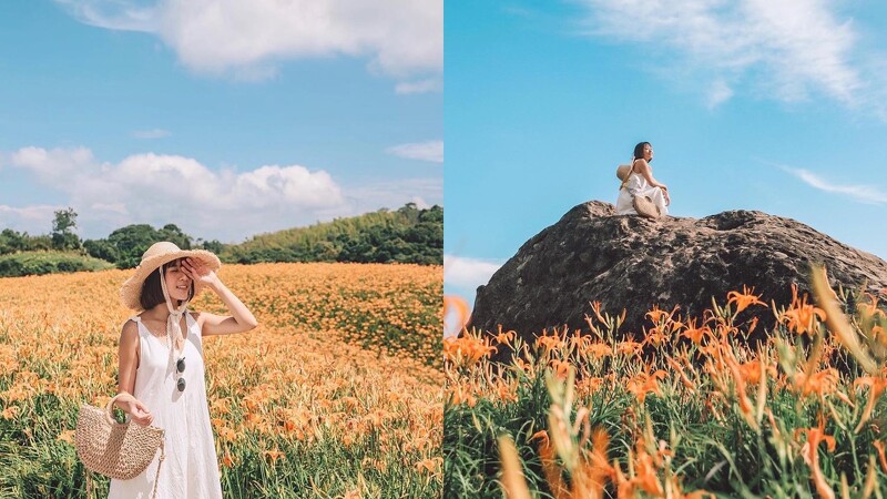 Photo / IG @shier0518 授權 (右圖 : 萬噸石龜)