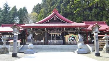 牡丹和藤盛開的金蛇水神社