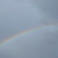 雑談しよー何歳でもかもんぬ！