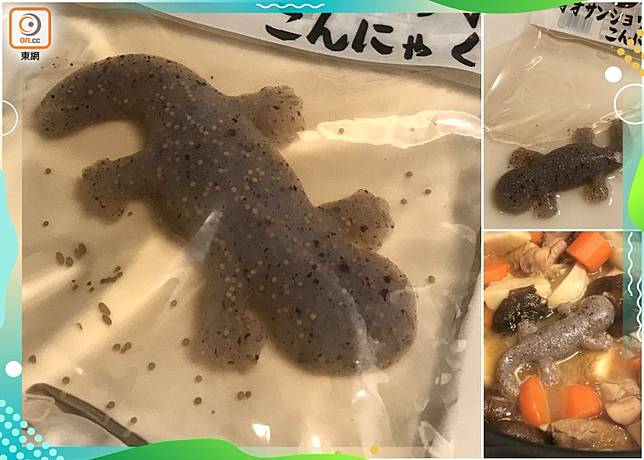 真係食得架 On Cc 東網 Line Today