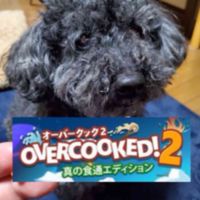 【30〜40代】夜更かしオーバークック2真の食通エディション