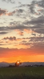 学校・家が辛い人たち集まれ