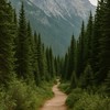 🏔️VanHike溫哥華爬山小隊