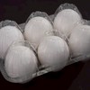 我ら腹筋たちの会🐣