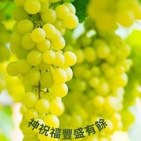 喜樂新生命
