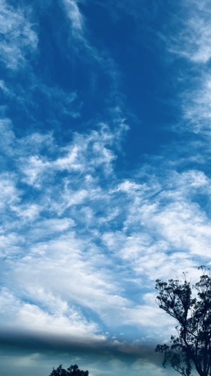 OpenChat 【学生】限定の雑談部屋